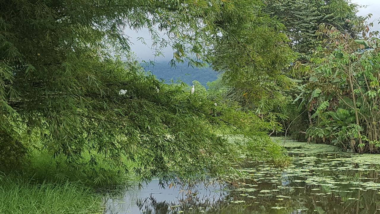 Hospedaje La Galerie Ciudad Cortés Dış mekan fotoğraf